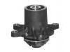 Wasserpumpe Water Pump:617 200 05 20