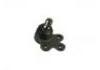 Joint de suspension Ball Joint:95907943