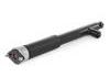 Shock Absorber:A2043263100