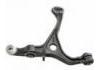 Brazo de suspensión Control Arm:51360SEPA00