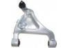 Brazo de suspensión Control Arm:55502-9Y000