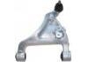 控制臂 Control Arm:55501-9Y000