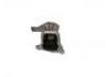 Lagerung, Motor Engine Mount:11 21 000 19R 