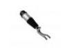 Stoßdämpfer Shock Absorber:1027361-00-G