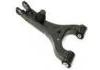 Brazo de suspensión Control Arm:RGG000070