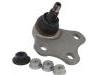 Joint de suspension Ball Joint:8J0 407 366