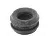 Suspension Bushing:202 992 00 10