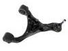 Bras de liaison Control Arm:RBJ 500850