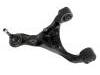 Control Arm:RBJ 500840