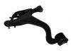 Control Arm:RBJ 501410