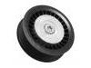 Polea loca, polea tensora Idler Pulley:607 200 02 70