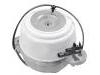 Engine Mount:204 240 39 17